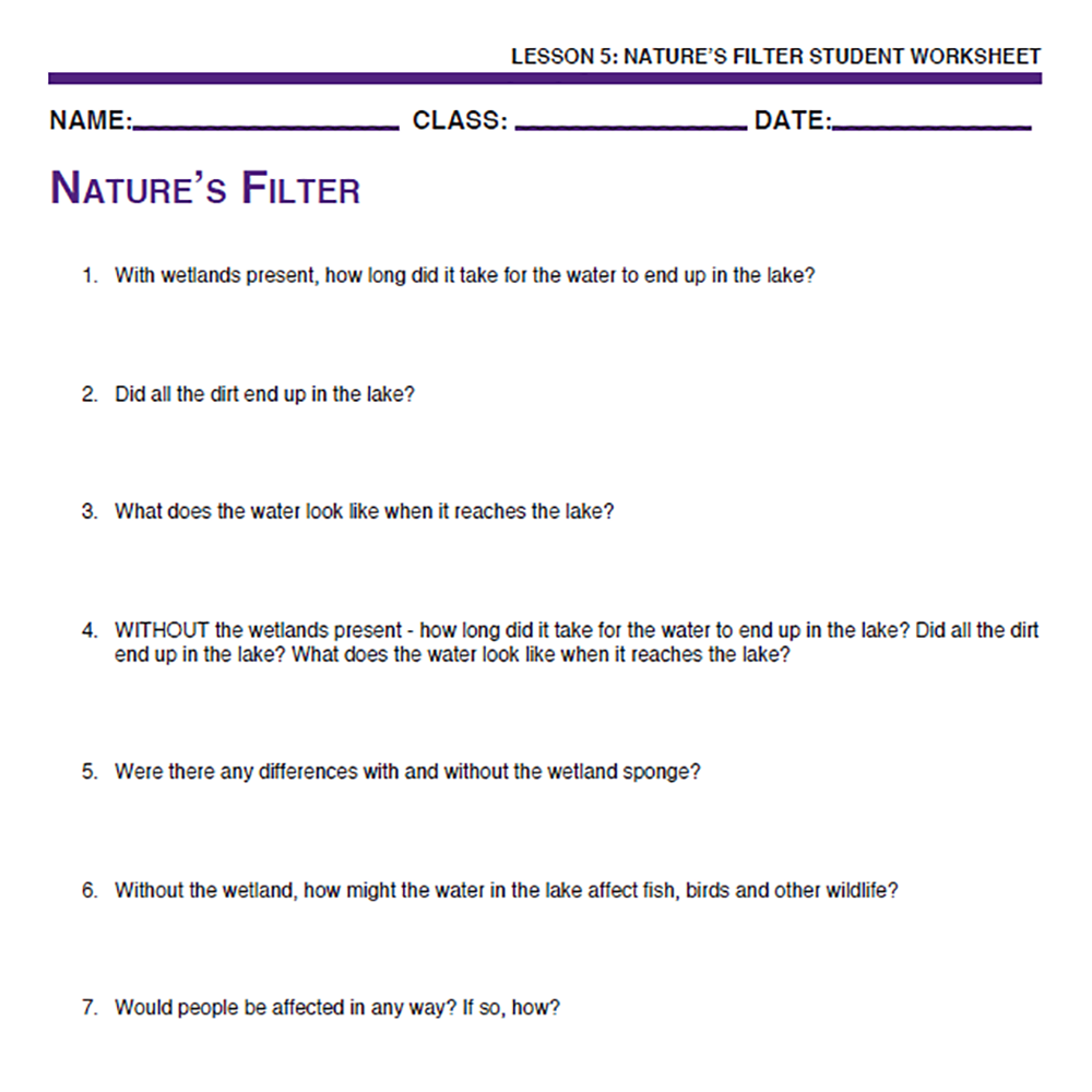 Wetland Ecosystems - Nature's Filter