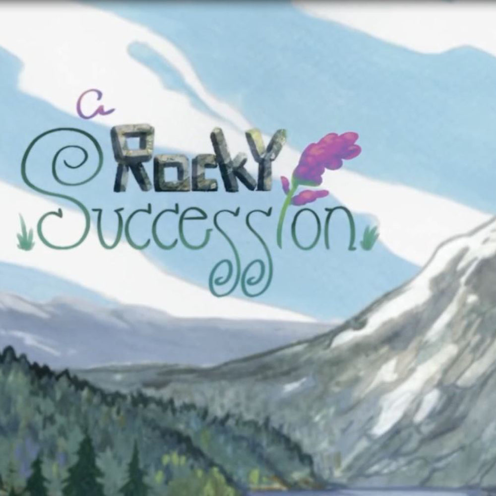 A Rocky Succession