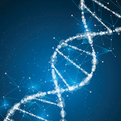 DNA and Genetic Variation