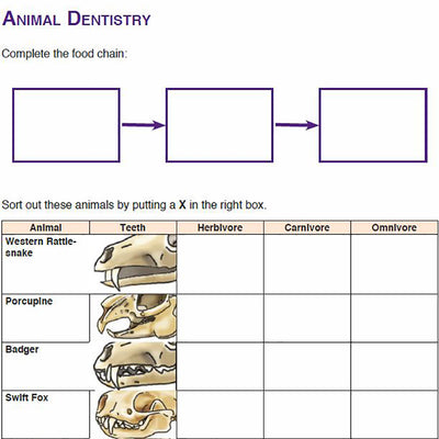 Needs of Plants and Animals - Animal Dentistry