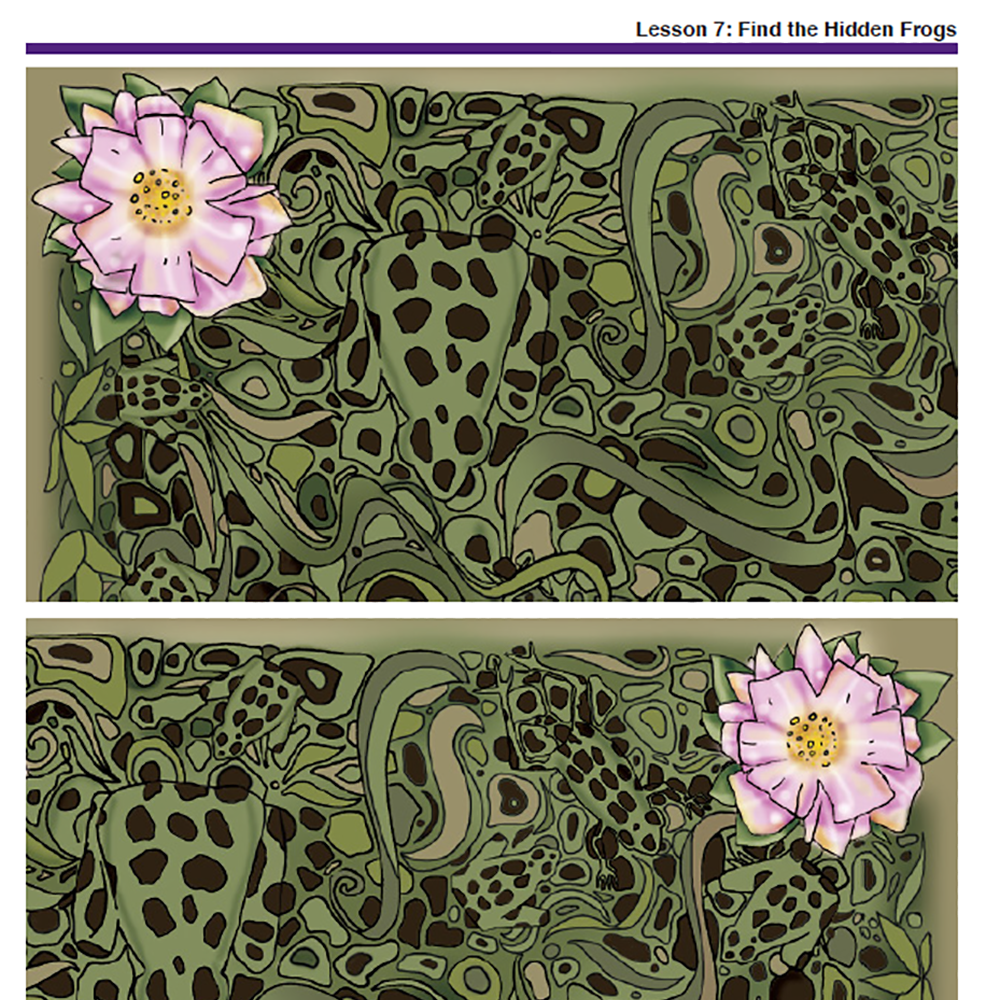 Needs of Plants and Animals - Leopard Frogs and Porcupine Grass