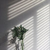 Light and Shadows - Lesson 2 | Sun Shadows