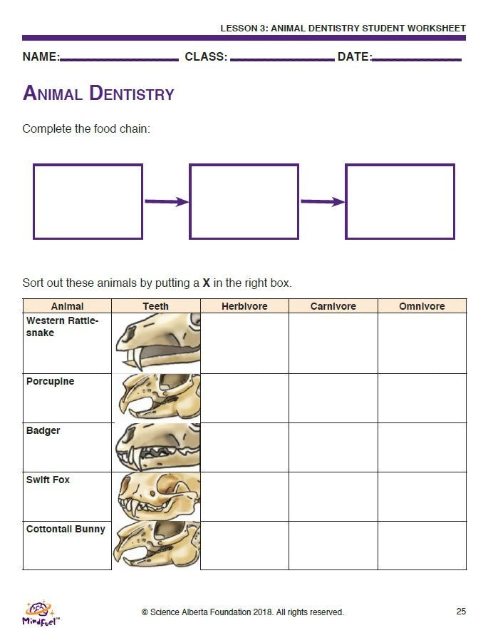 Needs of Plants and Animals - Let's Do Science Bundle