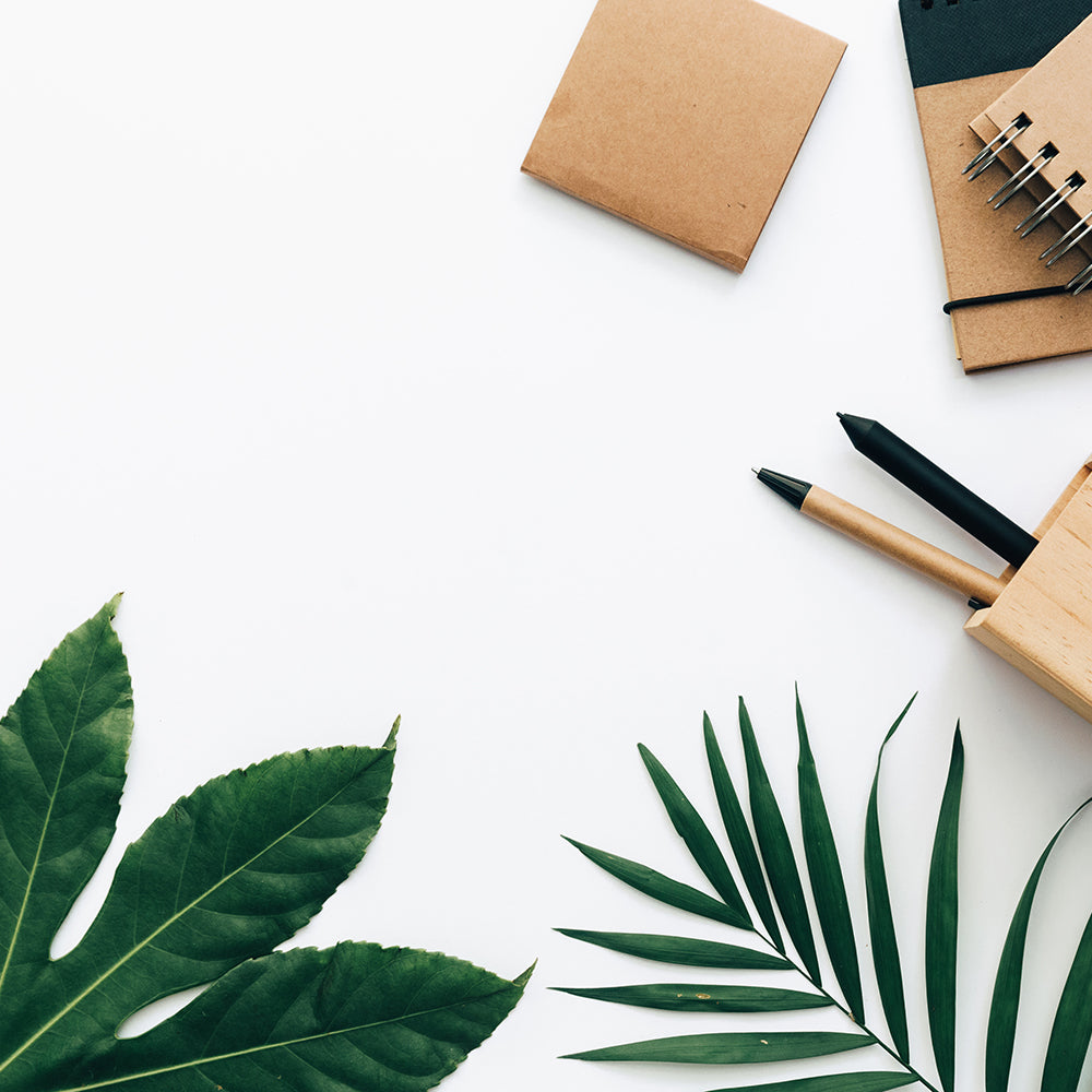 Needs of Plants and Animals - Plant Leaf Design