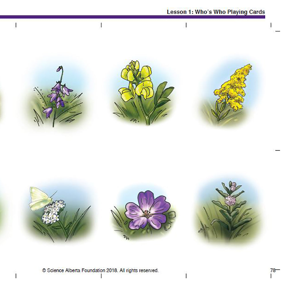 Needs of Plants and Animals - Who's Who?