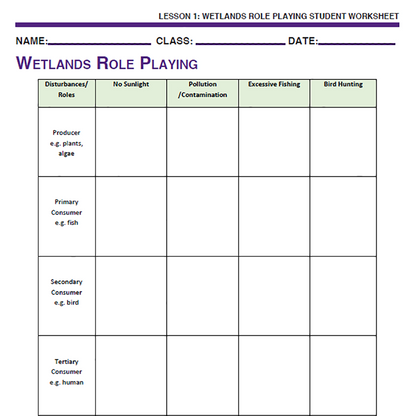Wetland Ecosystems - Wetlands Role Playing