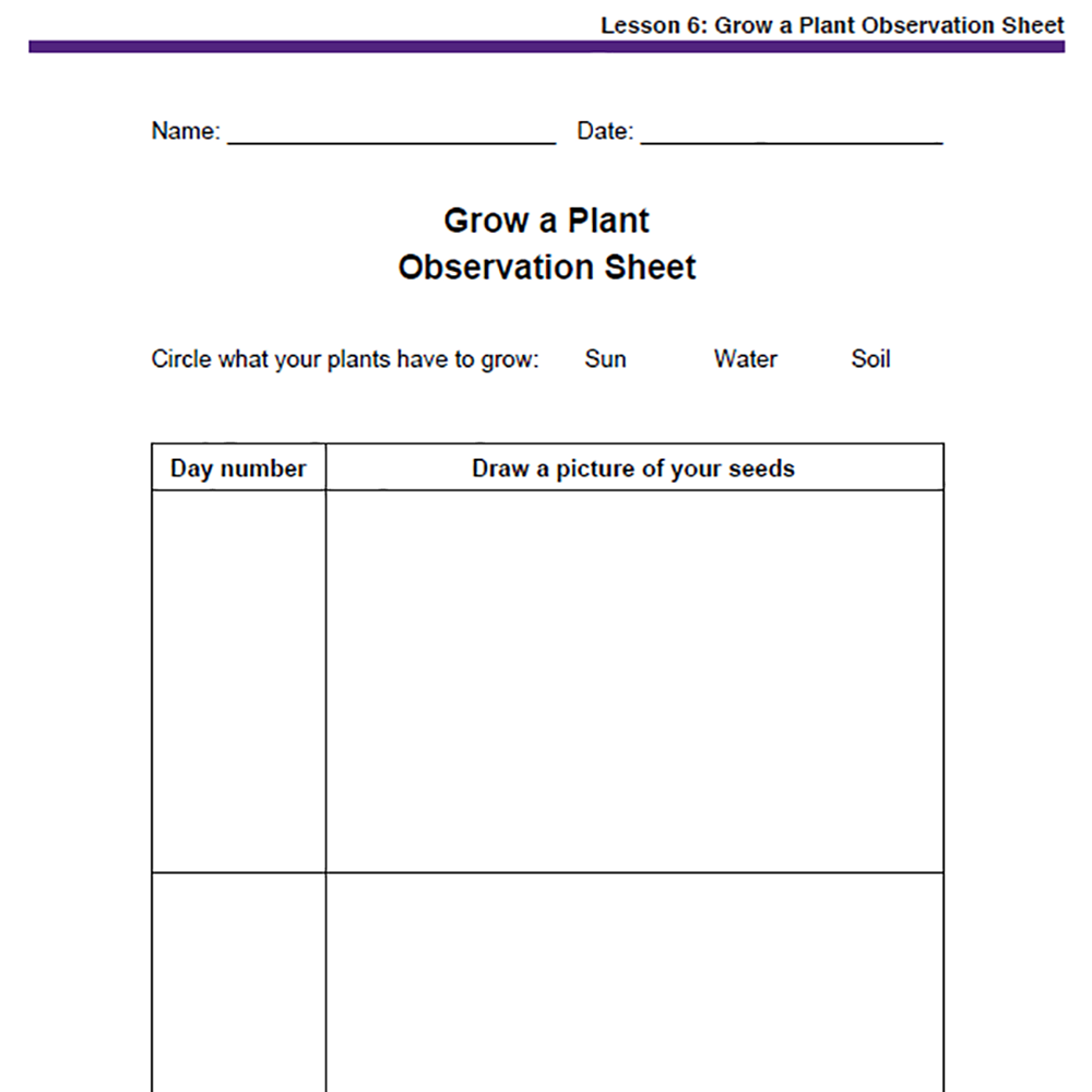Needs of Plants and Animals - Grow a Plant