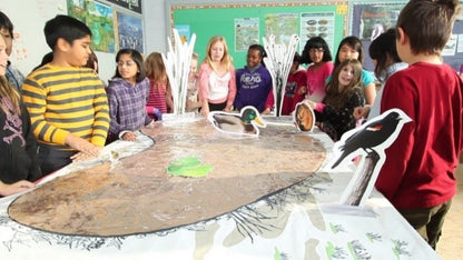 Ignition Pack - Wetland Ecosystems Unit