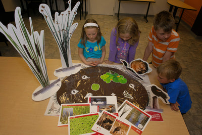 Ignition Pack - Wetland Ecosystems Unit