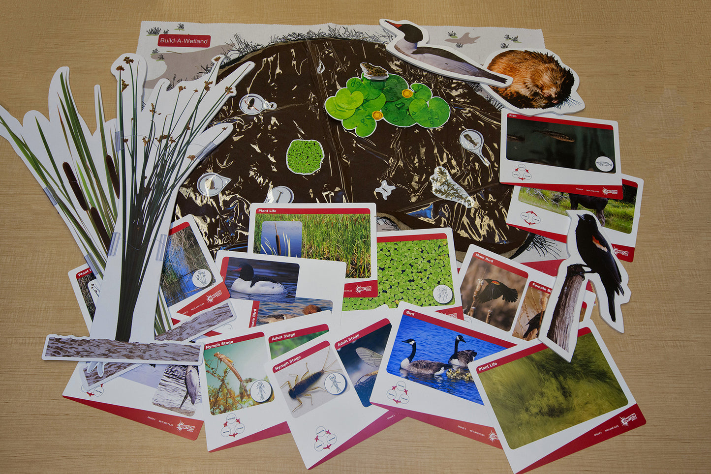 Ignition Pack - Wetland Ecosystems Unit