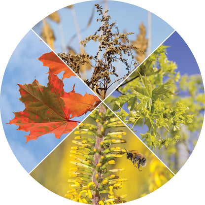 Sky Science - Why Do We Have Seasons?