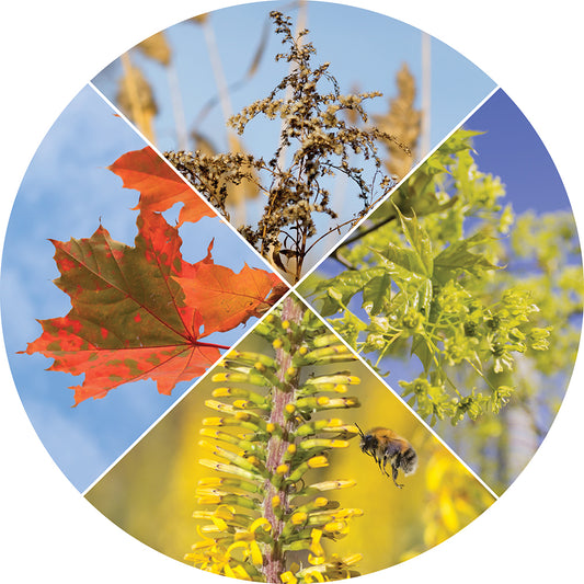 Sky Science - Why Do We Have Seasons?