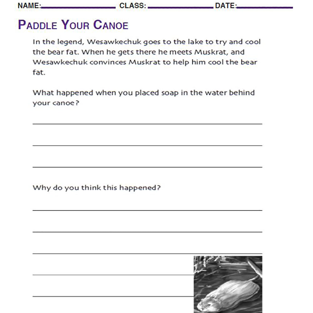 Classroom Chemistry | Lesson 1-3 from Let's Do Science Bundle